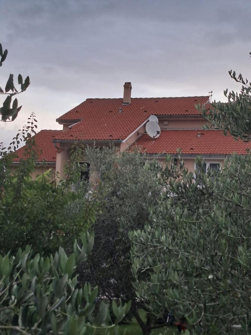 Apartments Mig - With Beautiful Garden Supetarska Draga Extérieur photo
